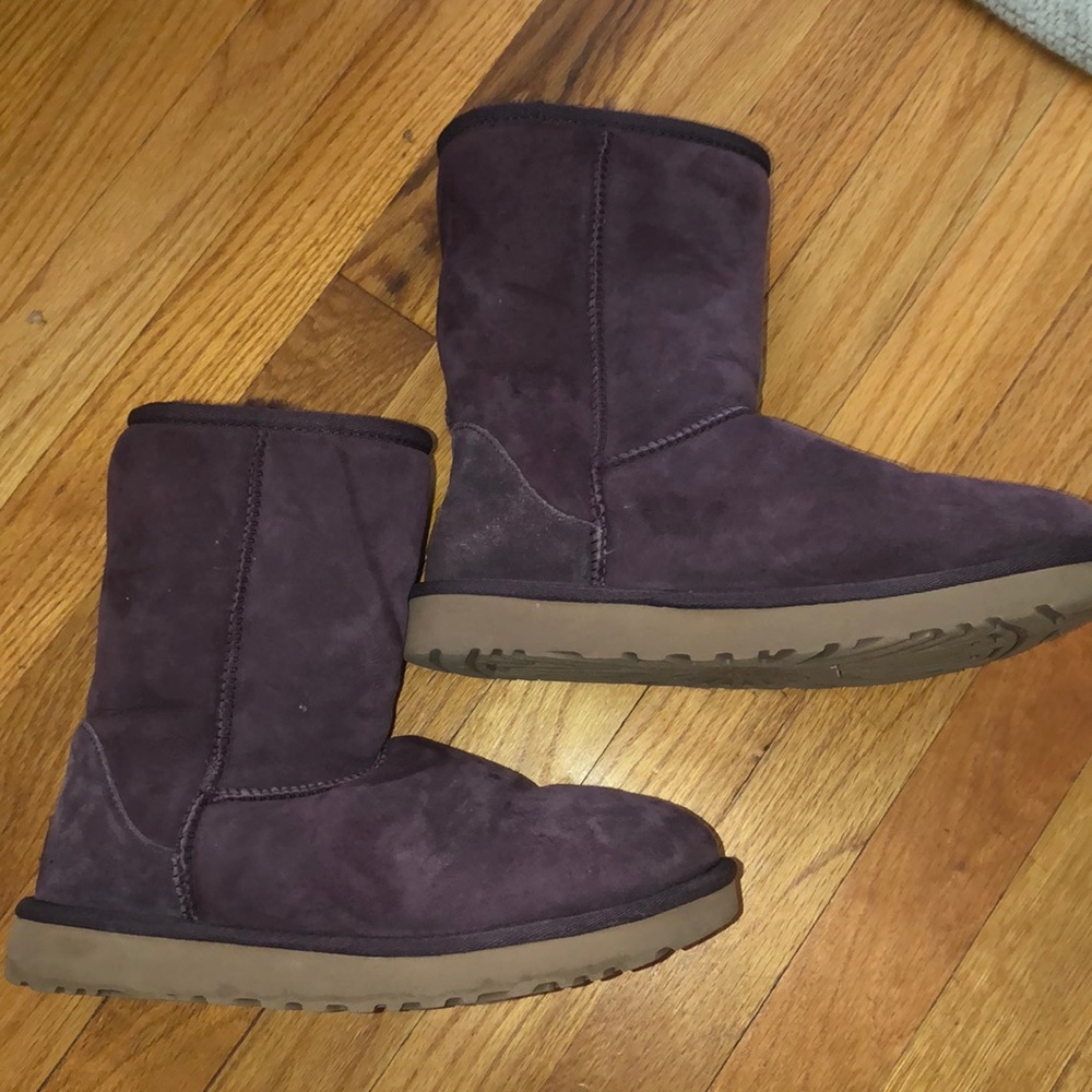 Purple Uggs